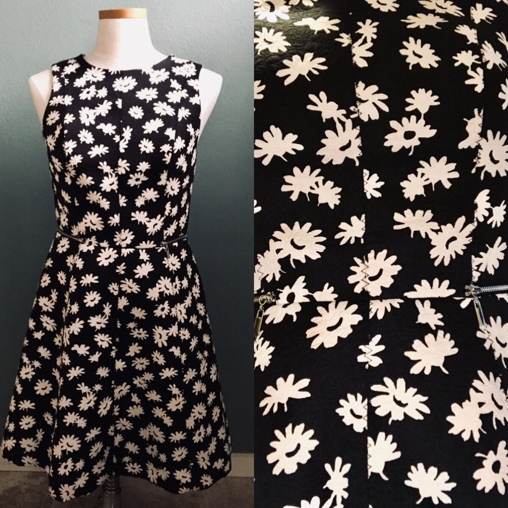 Ann Taylor daisy fit and flare dress